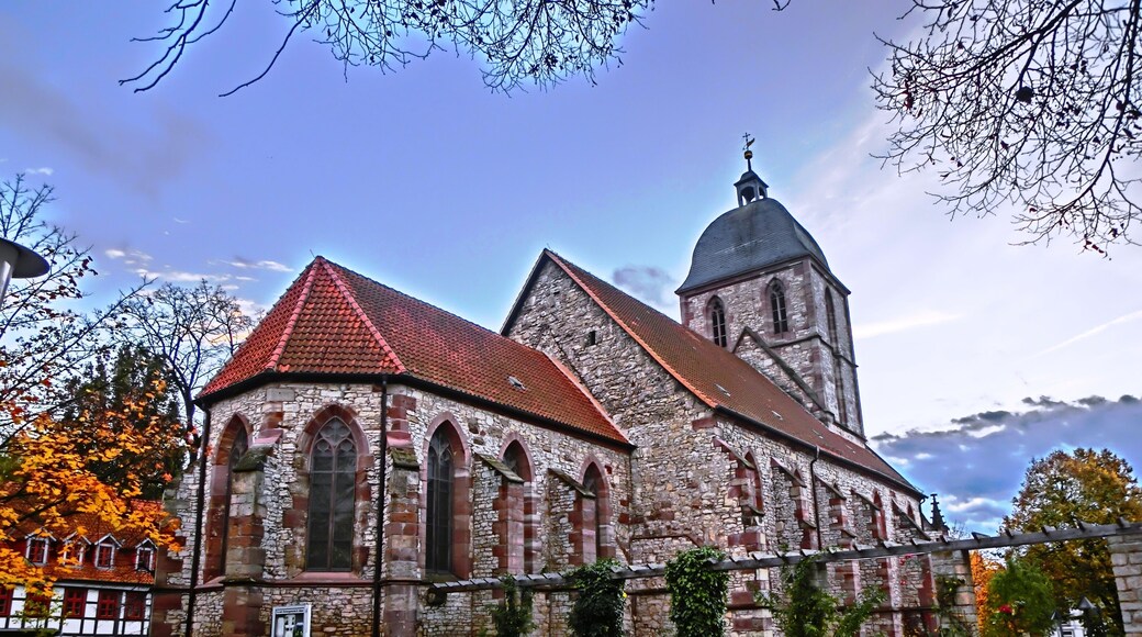 Die ev. luth. Pfarrkirche St. Albani ist eine dreischiffige gotische Hallenkirche in Göttingen.