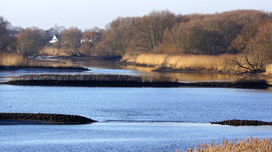 Naturschutzgebiet Zollenspieker, Hamburg