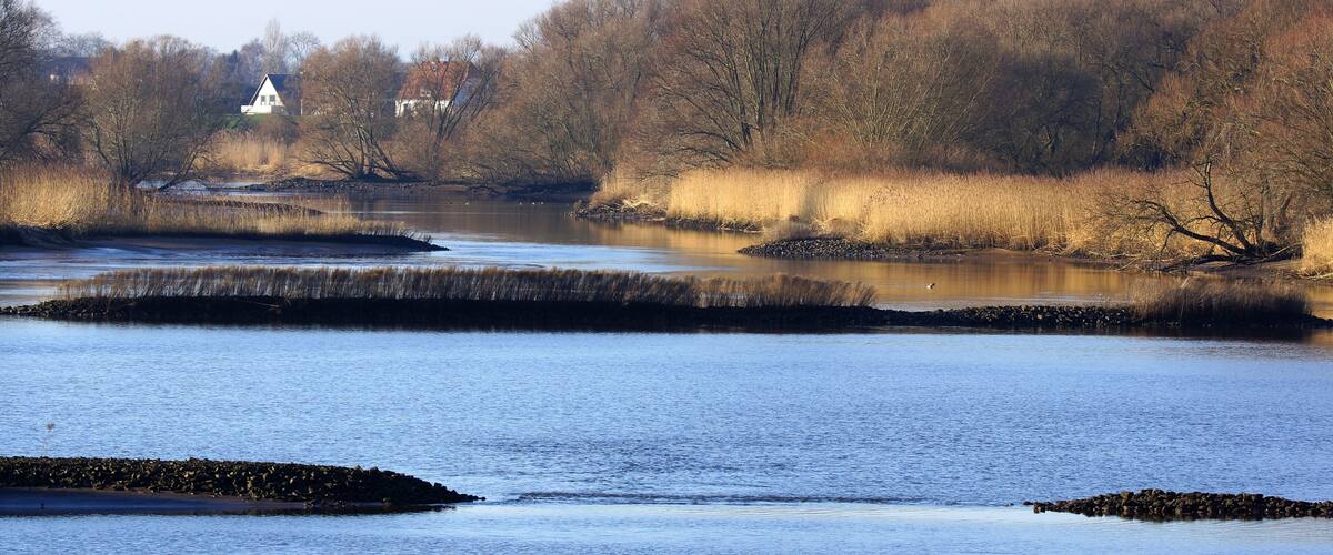Naturschutzgebiet Zollenspieker, Hamburg