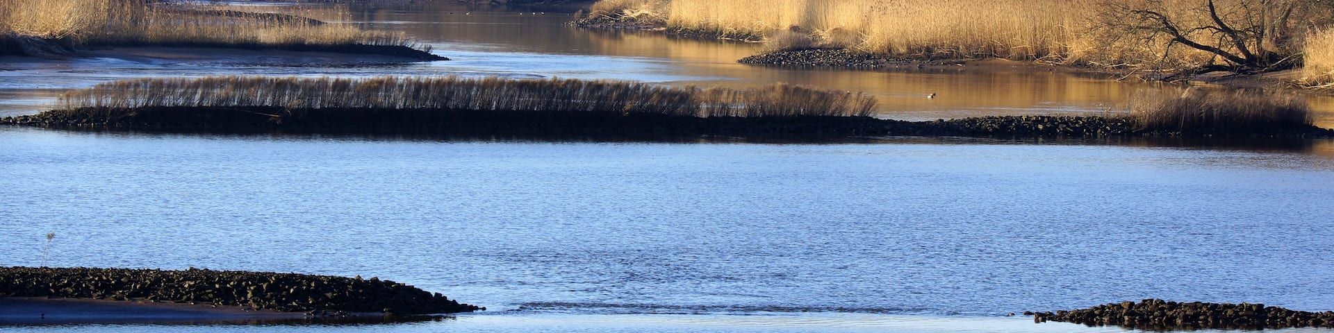 A river with calm water, surrounded by dry grass and trees.