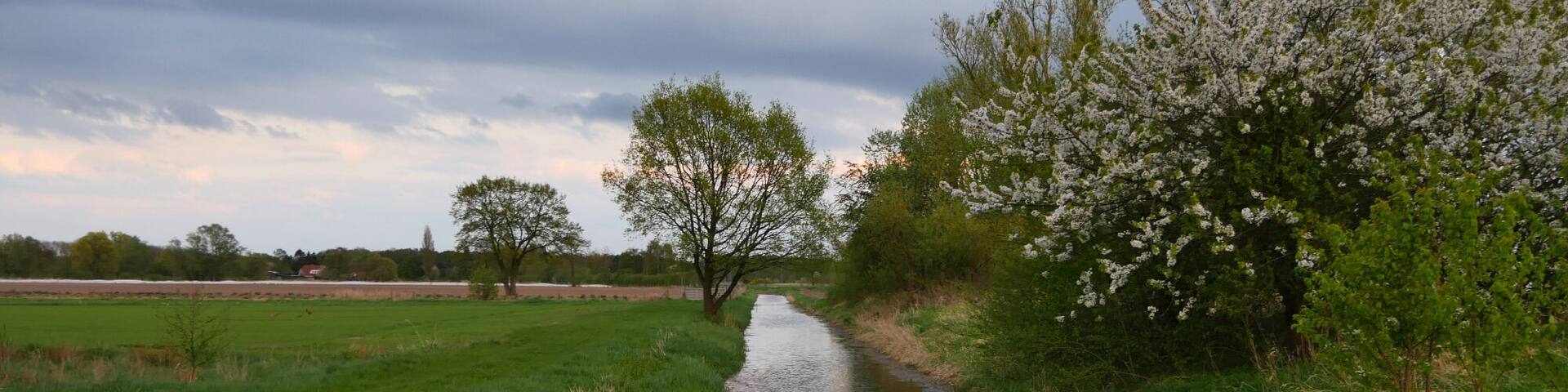 SĂŒdlicher Kirchwerder-Sammelgraben bei der KirchenheerwegbrĂŒcke