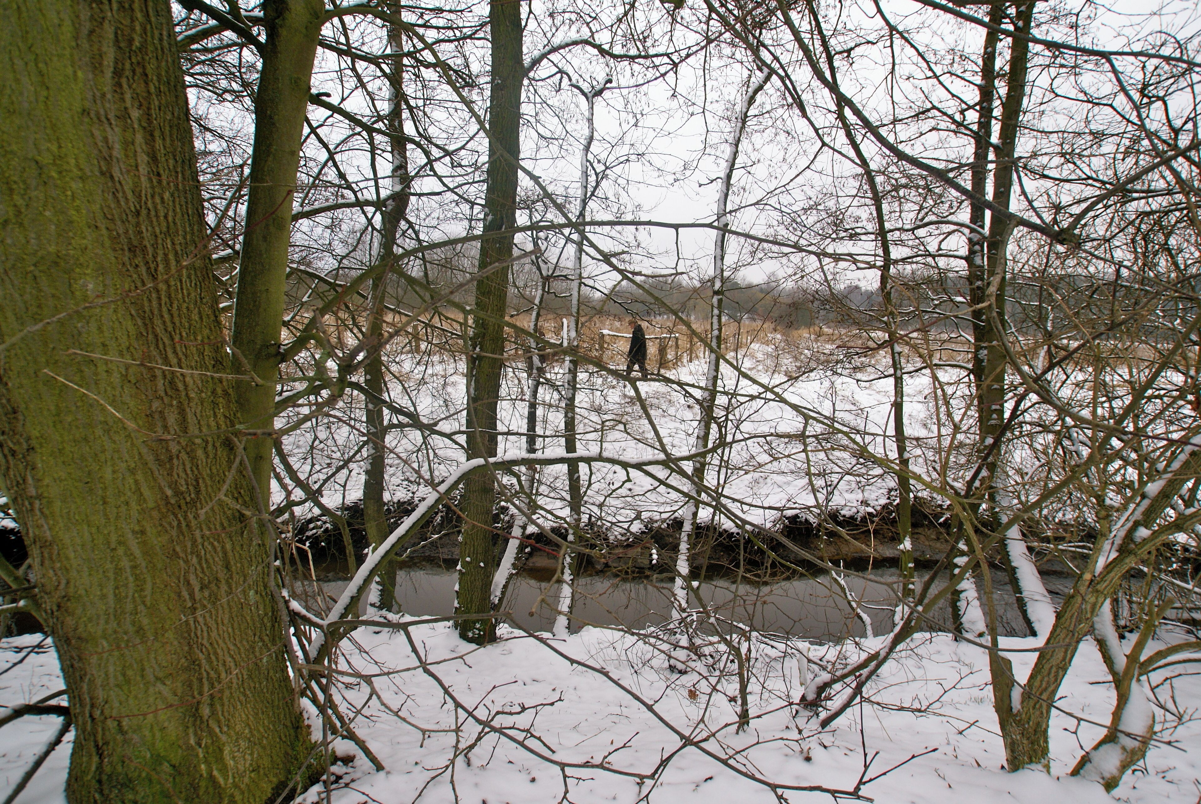 Hamburg (Niendorf), Germany: The river Roethmoorgraben close to the confluence with the river Kollau