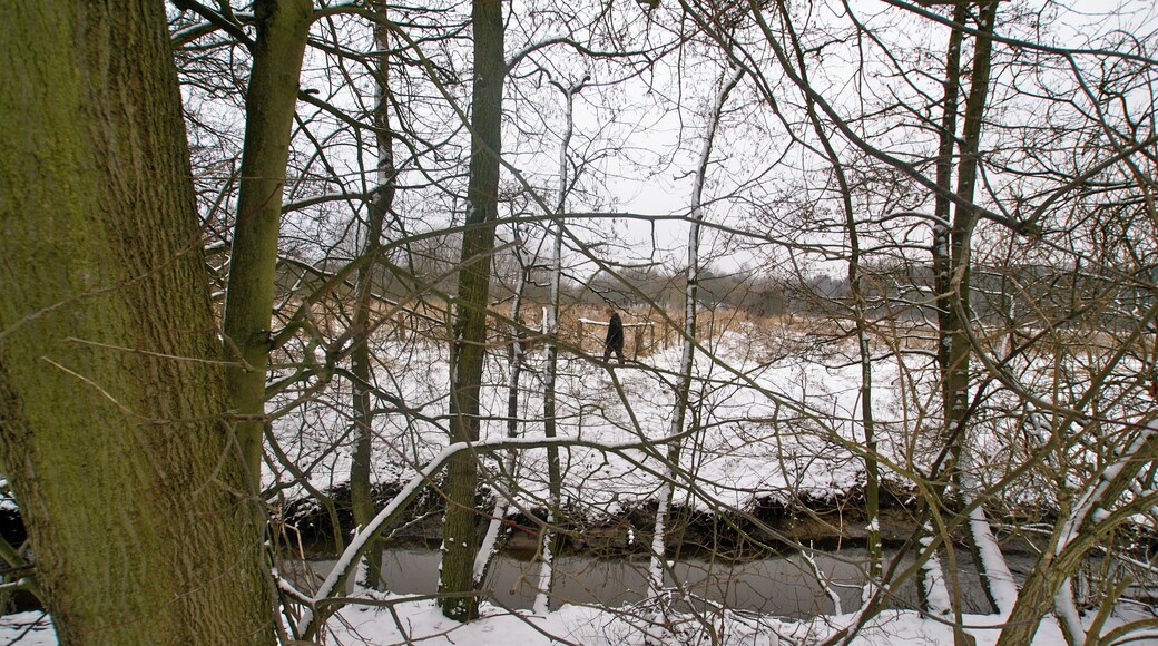 Hamburg (Niendorf), Germany: The river Roethmoorgraben close to the confluence with the river Kollau