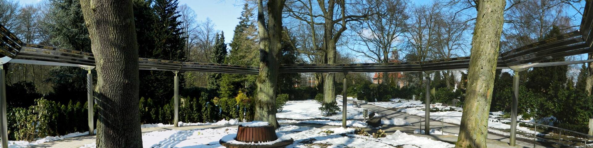 A snow-covered park with a central wooden bench, trees, and a metal structure overhead.