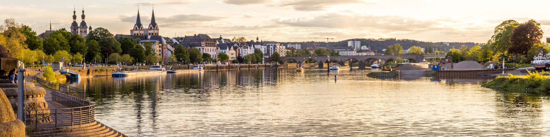 A river with a bridge, a castle, and a town with buildings along the riverbank.