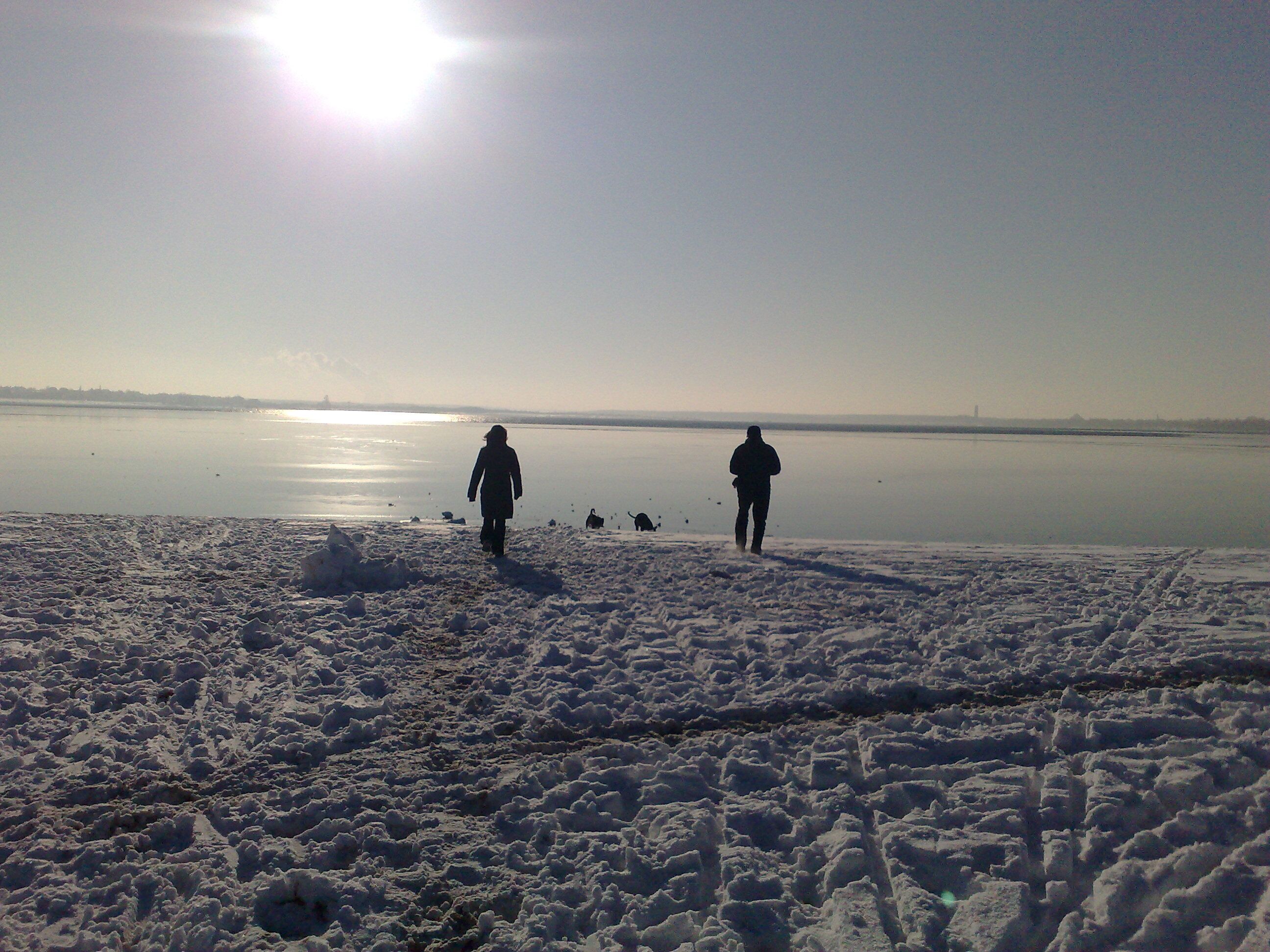 Cospudener See im Winter