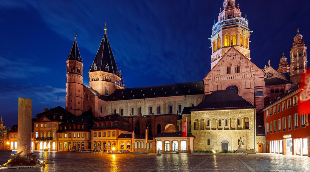 The Mainz Cathedral at night