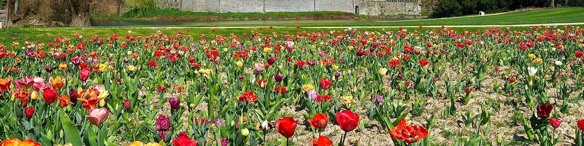 Castle of Schloss Dck in Juechen in spring