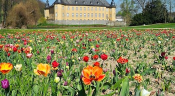 Rheindahlen-Land