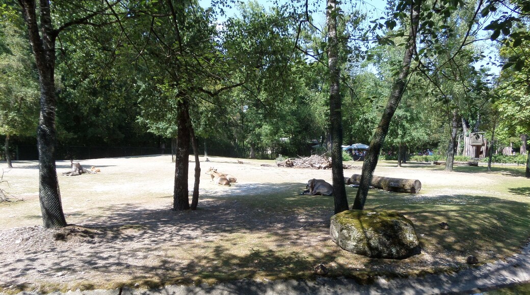 09.08.2015. _ Untergiesing-Harlaching, München, Deutschland