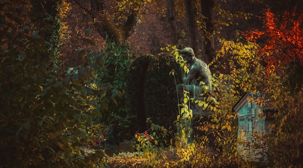 上吉興 - 雉雞園