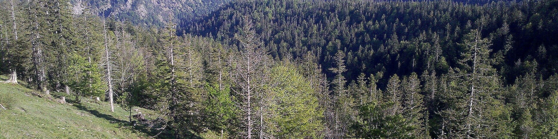 Wespenkopf middle of picture and other mountains, Germany
