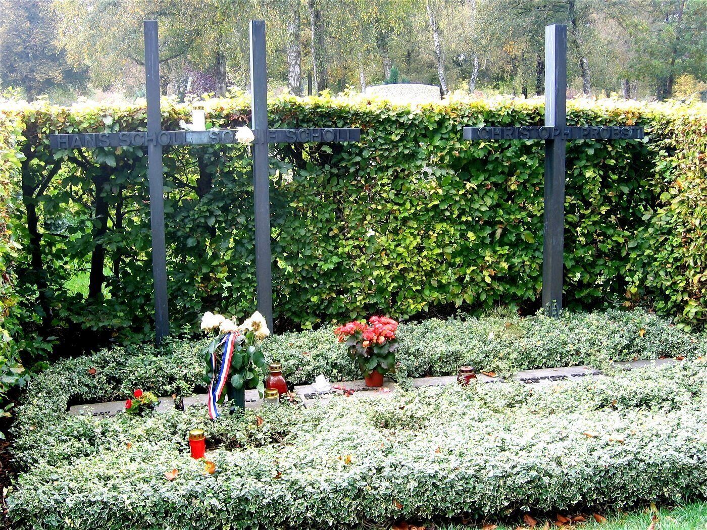 Graves of Hans Scholl, Sophie Scholl and Christoph Probst (Weiße Rose) in the Munich cemetery Friedhof am Perlacher Forst