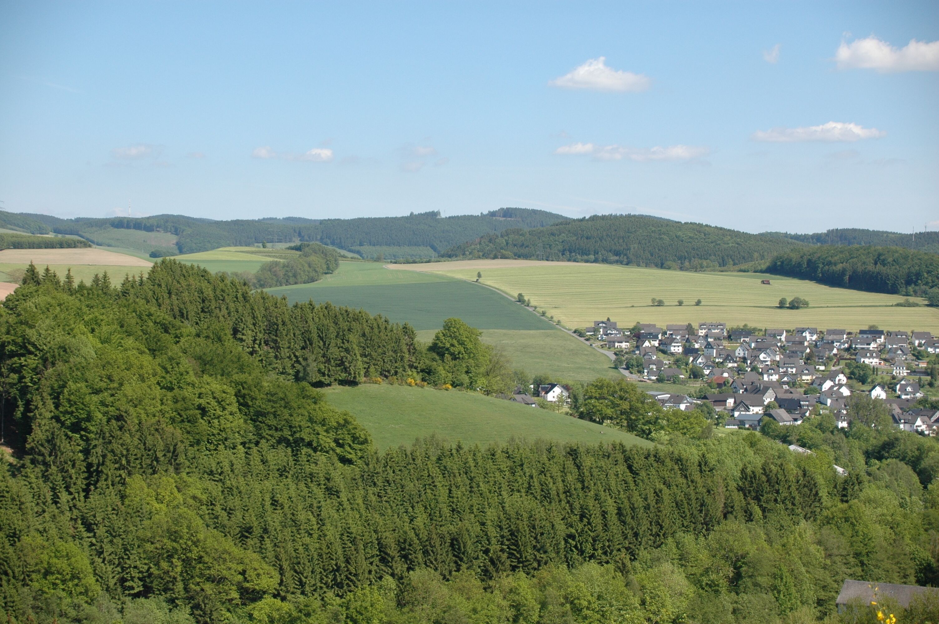 A rural landscape with rolling hills, a small village, and dense forests.
