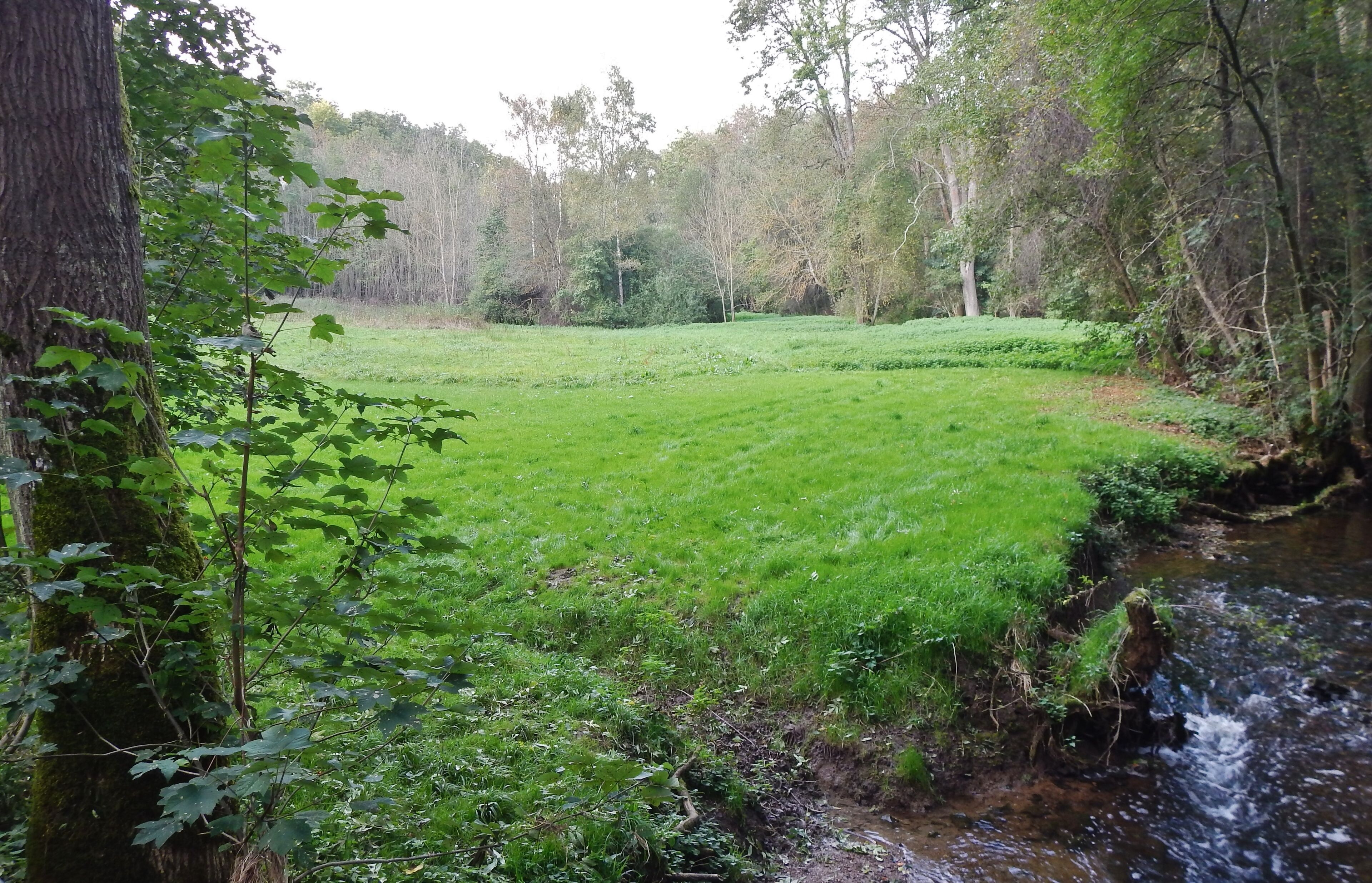 Weidach- und Zettachwald, Stuttgart