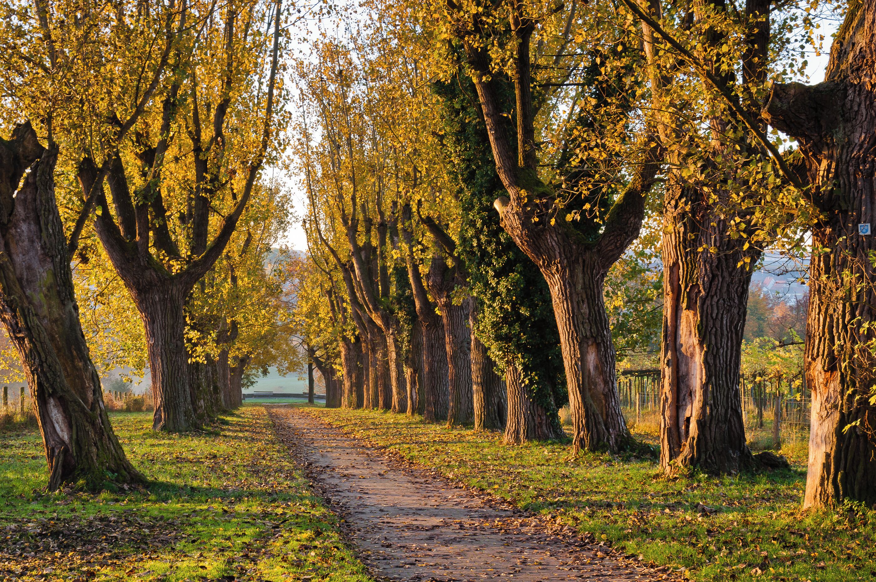 This is a picture of the protected area listed at WDPA under the ID