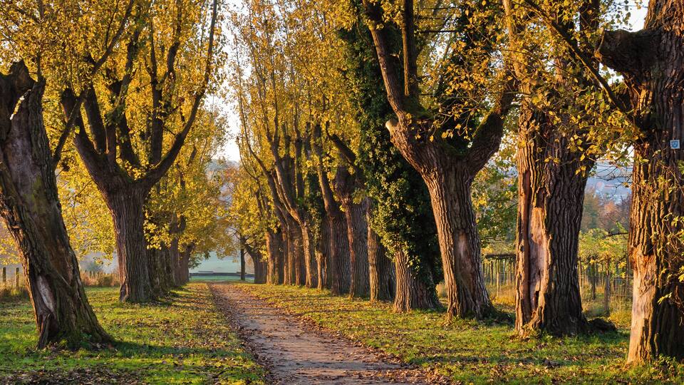 This is a picture of the protected area listed at WDPA under the ID