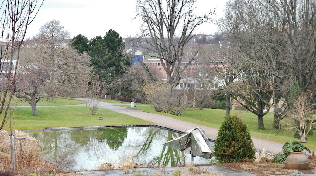 Höhenpark Killesberg in Stuttgart