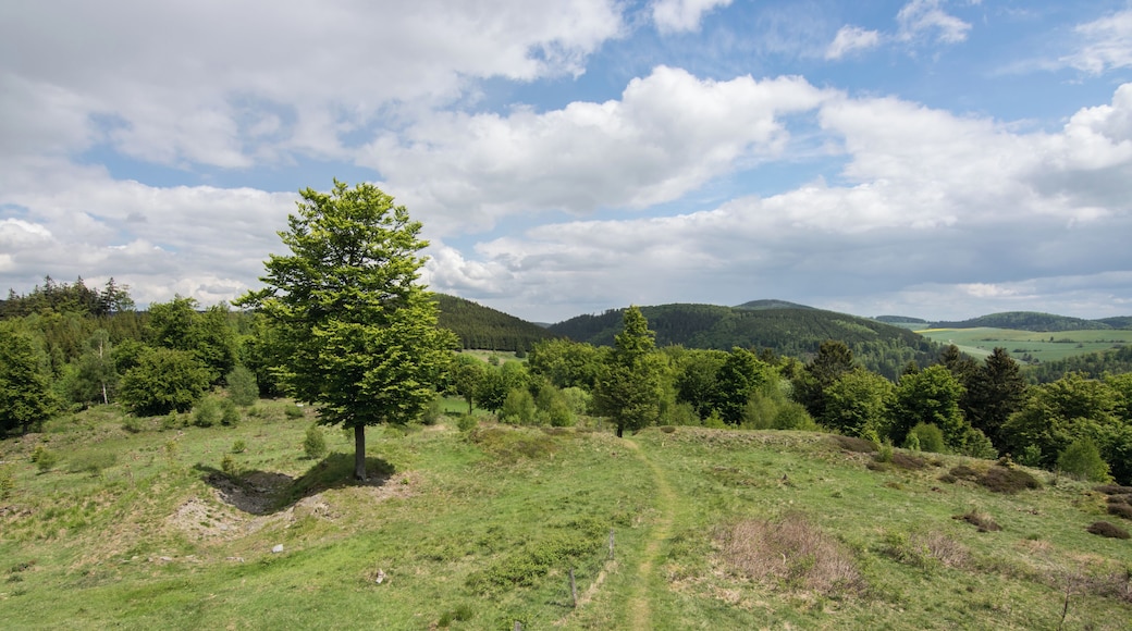 This image was uploaded as part of Wiki Loves Monuments 2015.