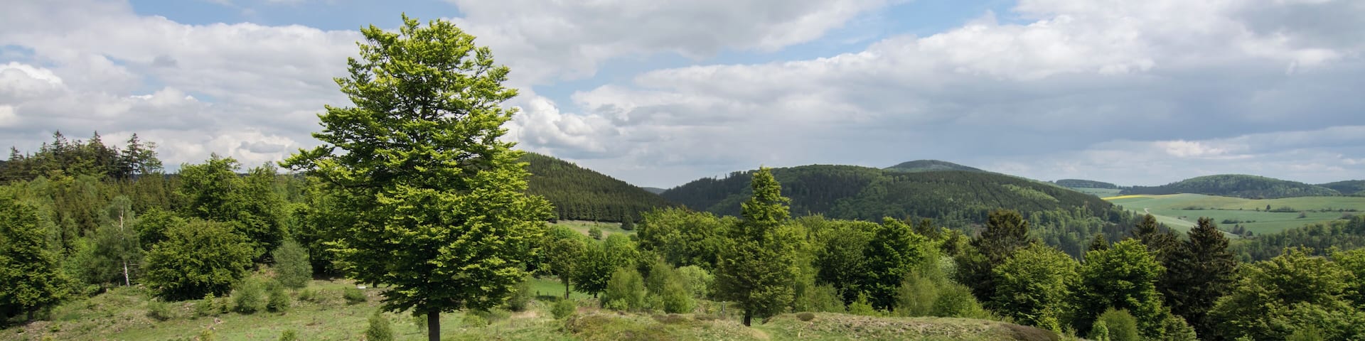 This image was uploaded as part of Wiki Loves Monuments 2015.