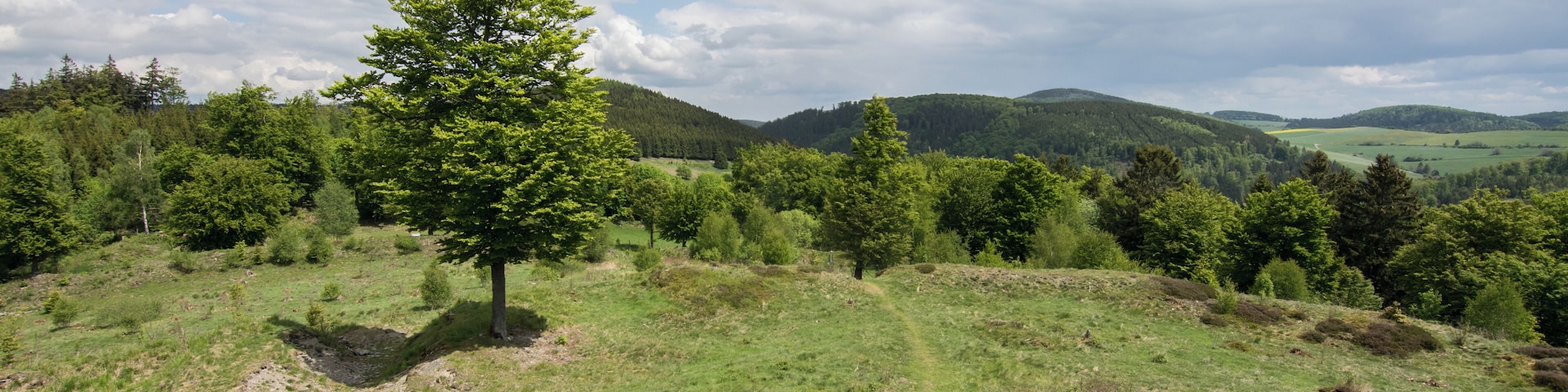 This image was uploaded as part of Wiki Loves Monuments 2015.