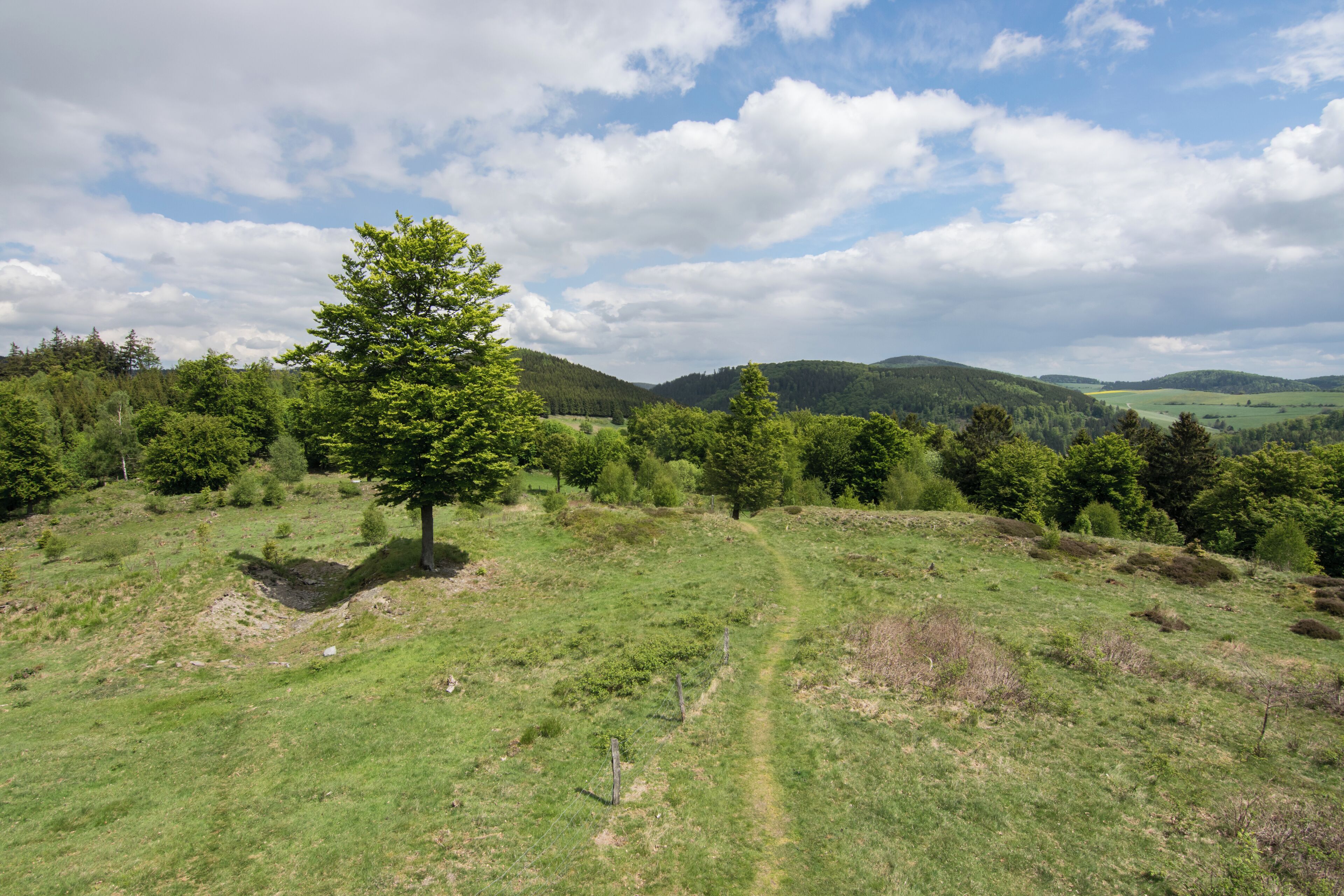 A grassy hillside with a single tree, rolling hills, and a partly cloudy sky.
