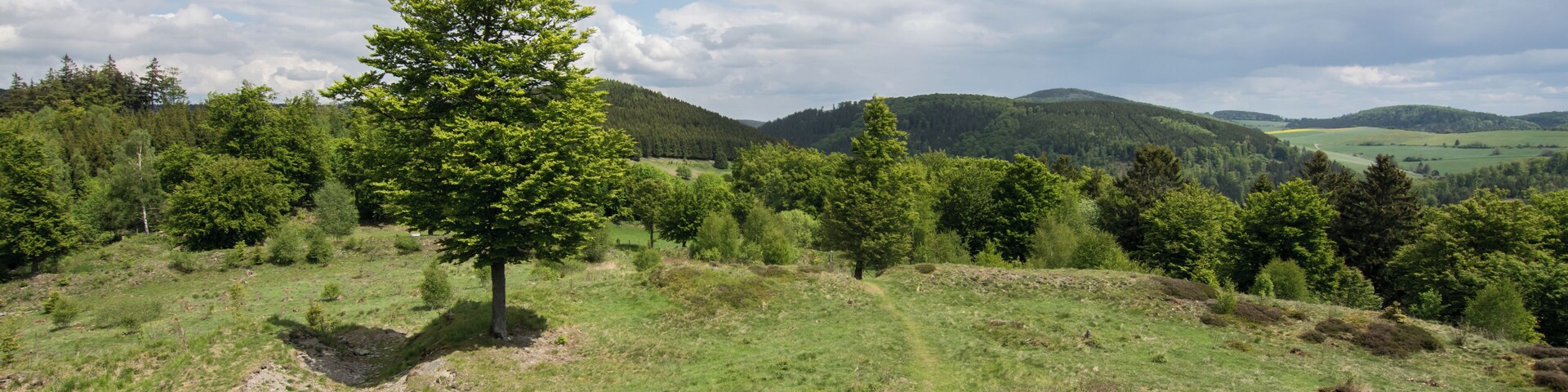 A grassy hillside with a single tree, rolling hills, and a partly cloudy sky.