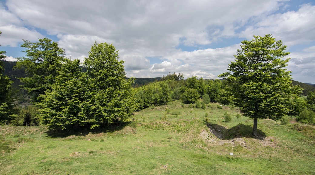 This image was uploaded as part of Wiki Loves Monuments 2015.