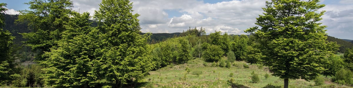 This image was uploaded as part of Wiki Loves Monuments 2015.