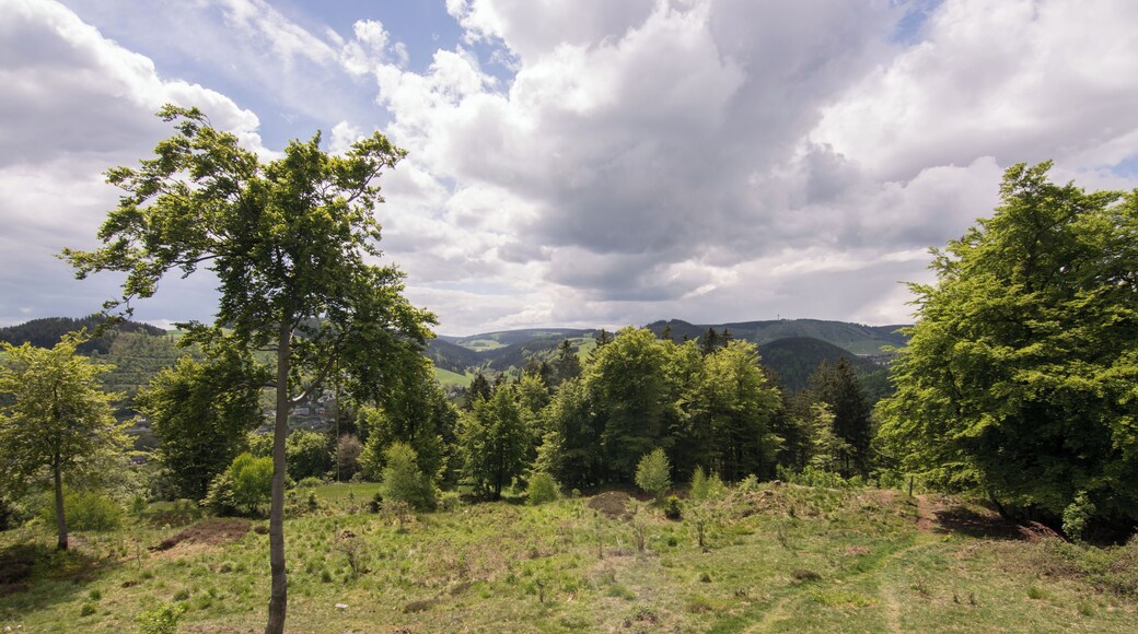 This image was uploaded as part of Wiki Loves Monuments 2015.