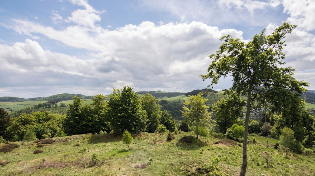 This image was uploaded as part of Wiki Loves Monuments 2015.