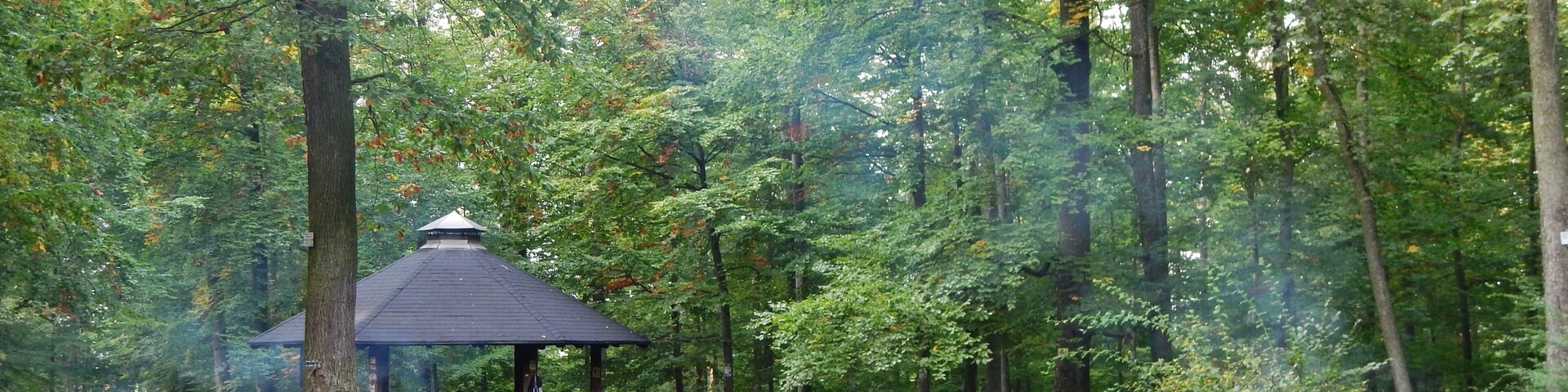 Grillplatz am Pfaffenwald