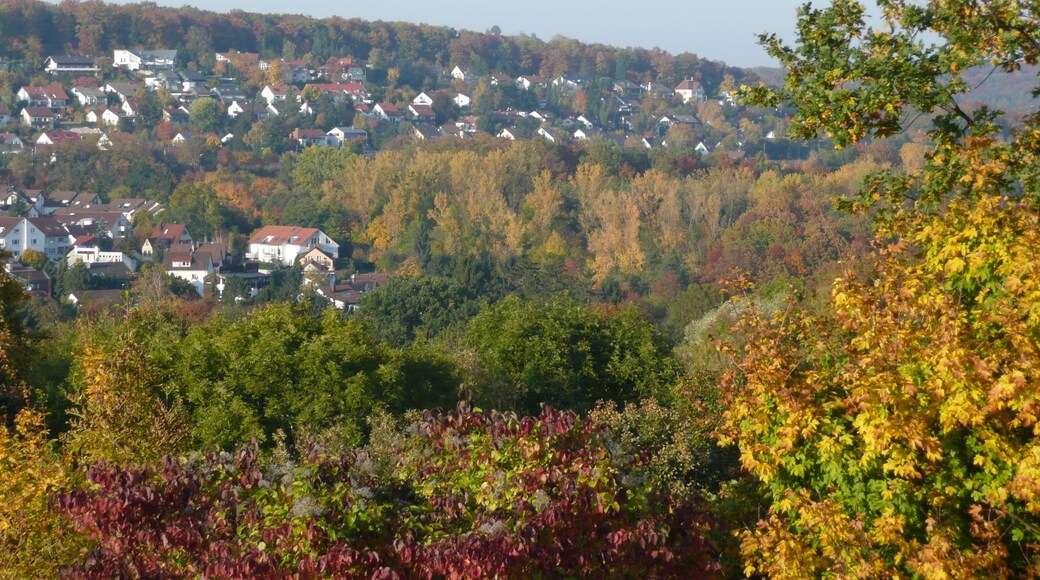 Ausblick von der S-Bahnstation Österfeld Richtung Dachswald