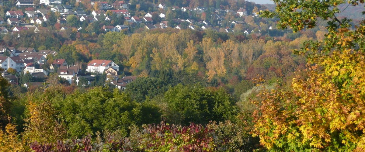 Ausblick von der S-Bahnstation Österfeld Richtung Dachswald