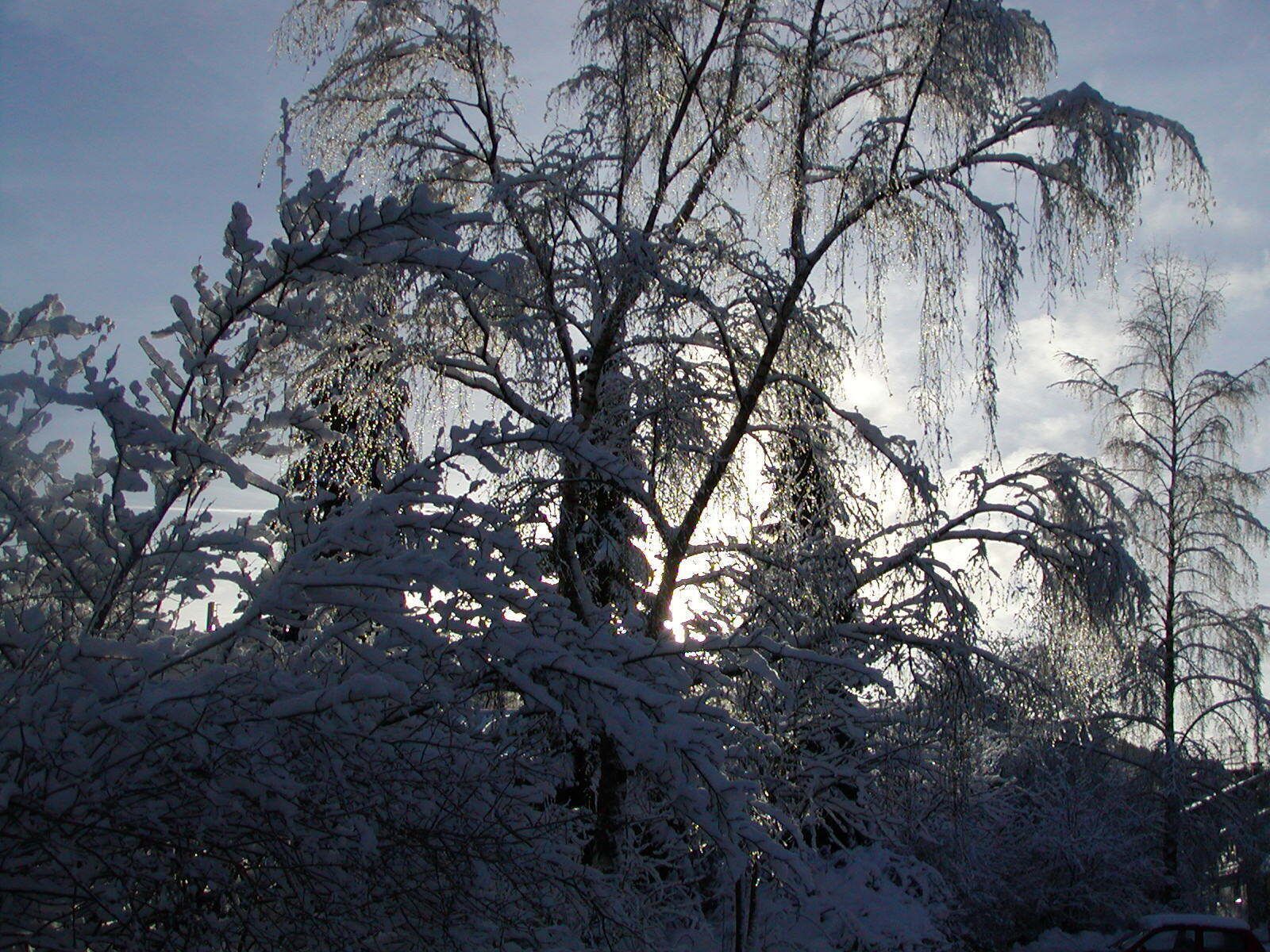 Winter in Willingen-Stryck - Dez. 2004