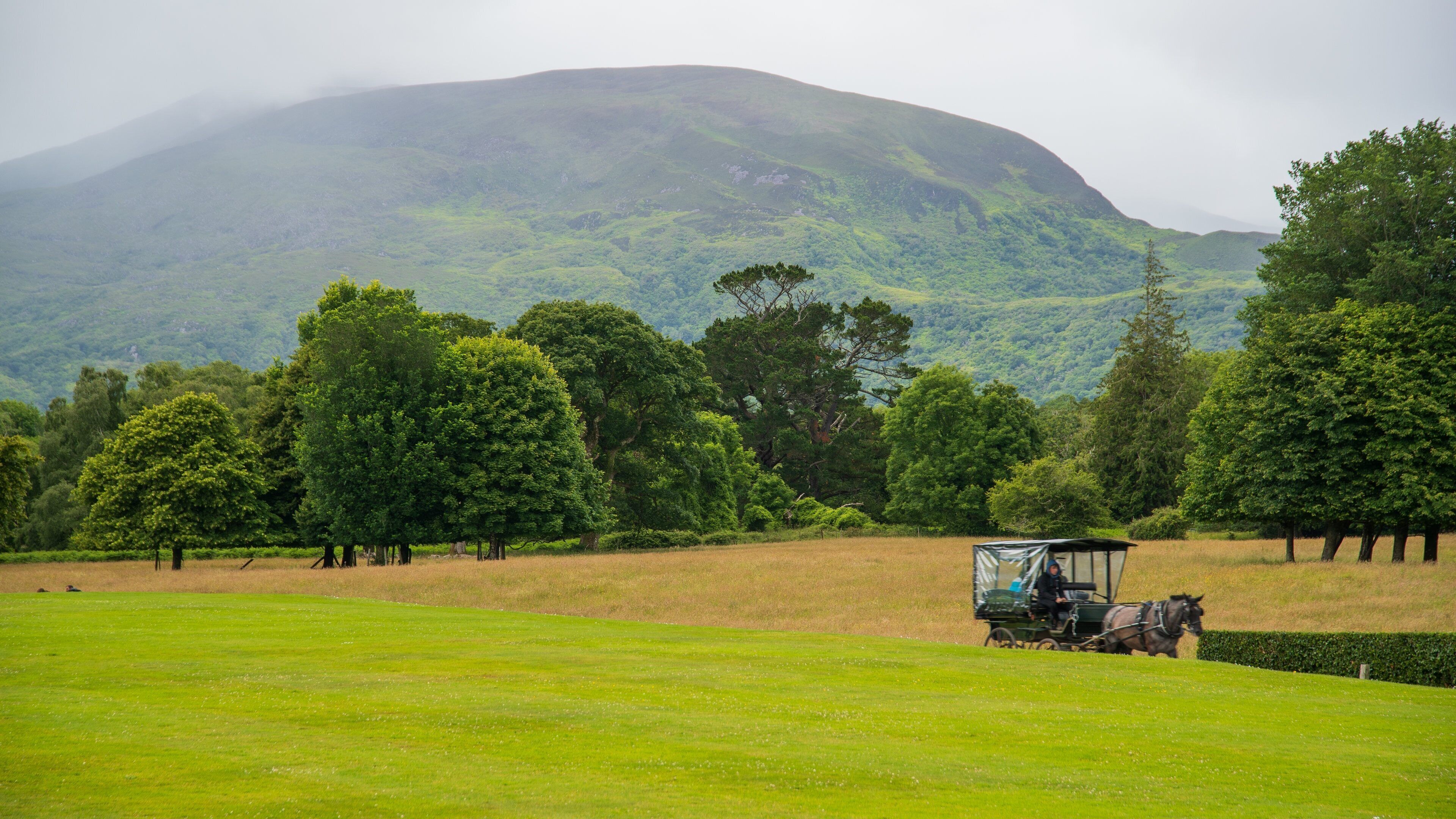 Muckross showing tranquil scenes and farmland