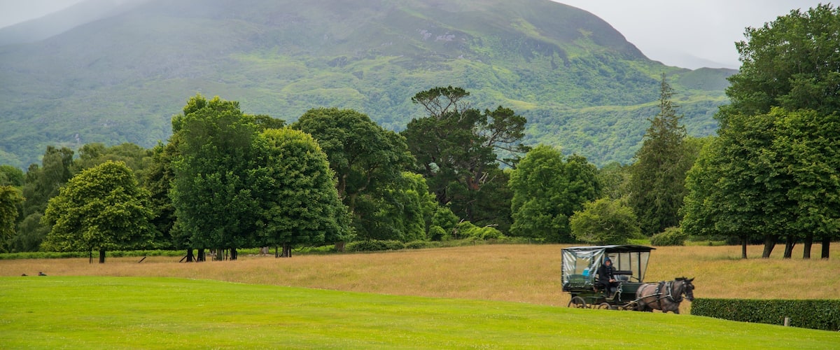 Muckross showing tranquil scenes and farmland