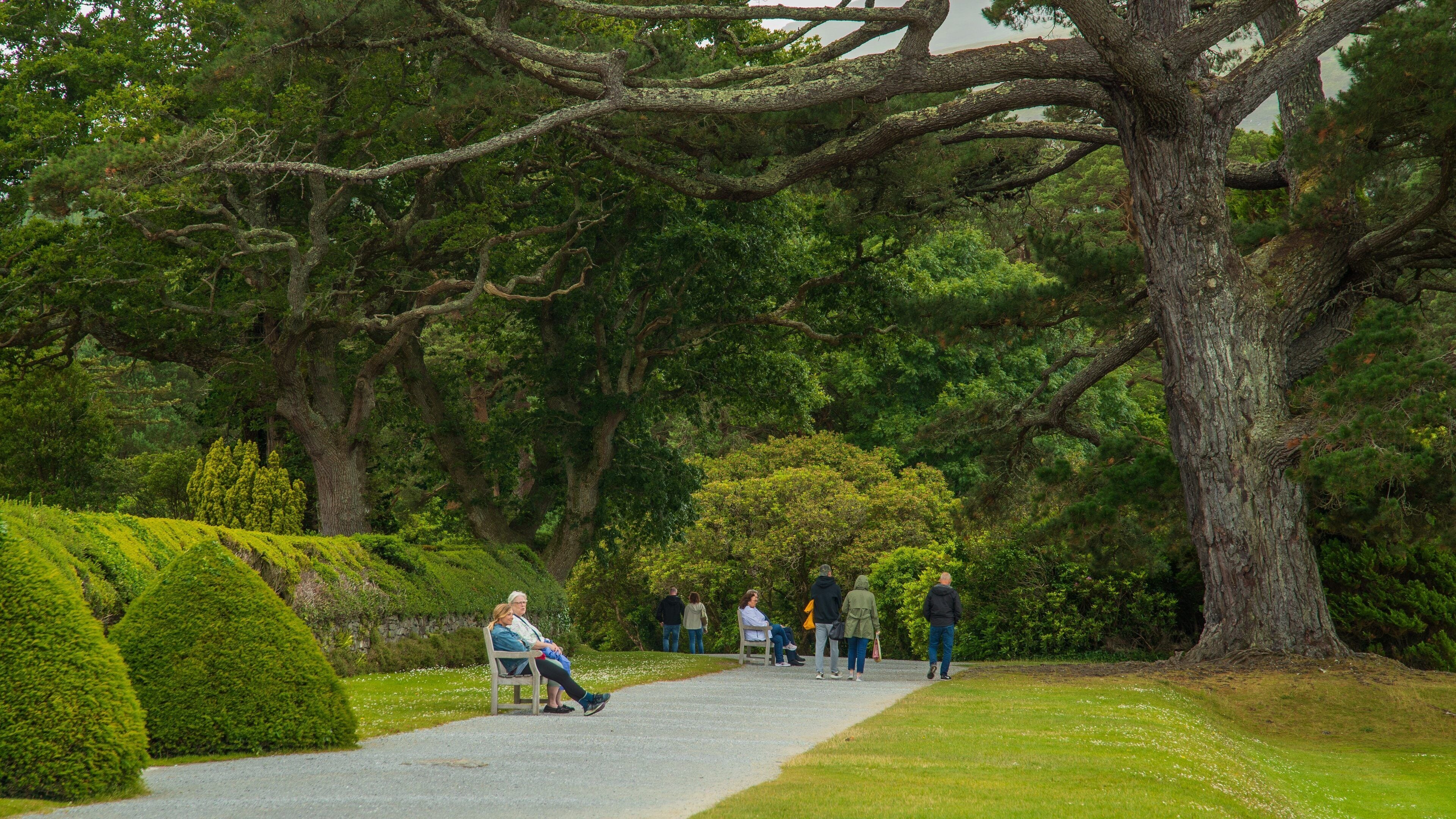 A park with a large tree, a gravel path, and people walking and sitting.