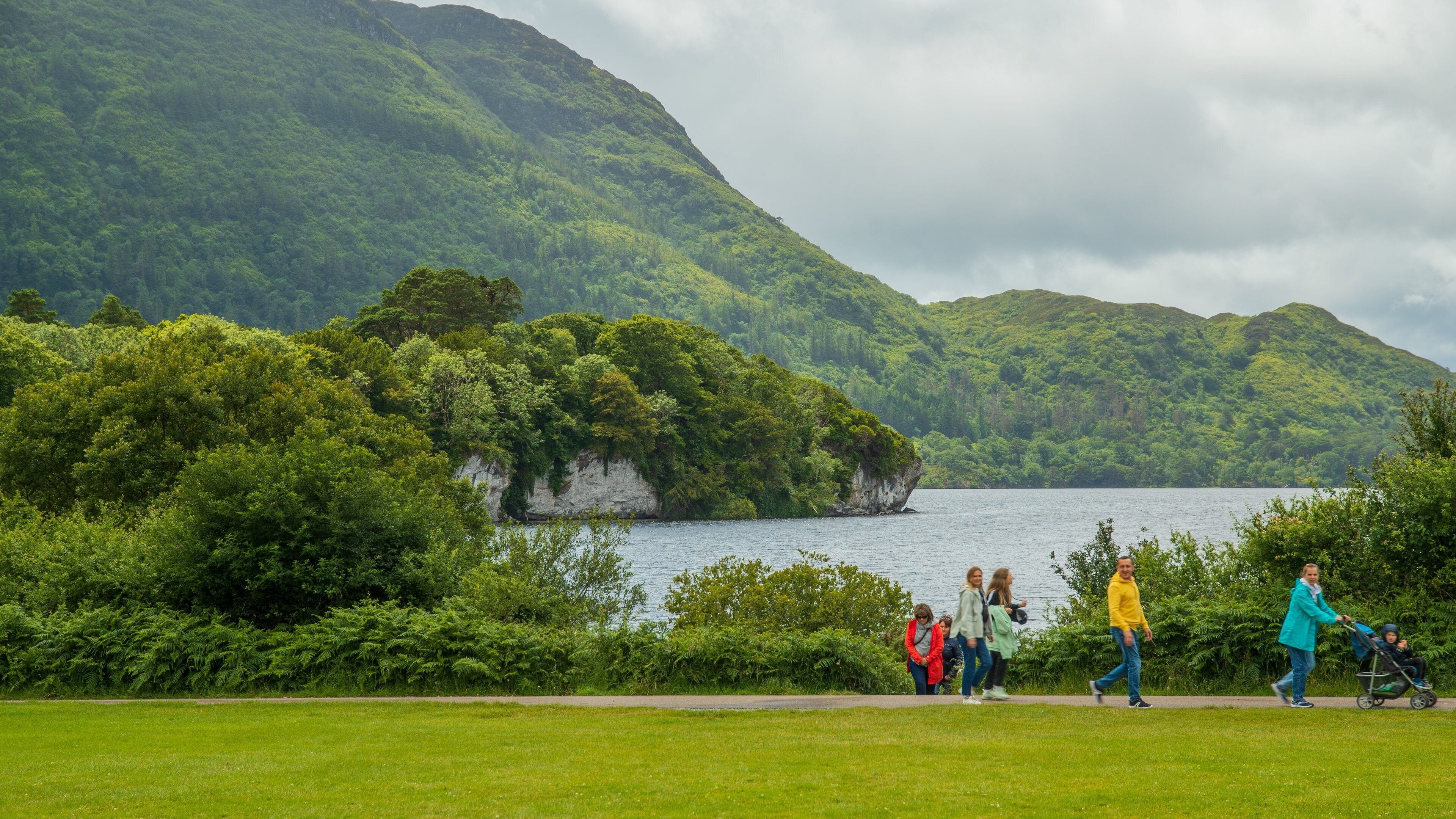 A lush green landscape with a lake and mountains in the background.