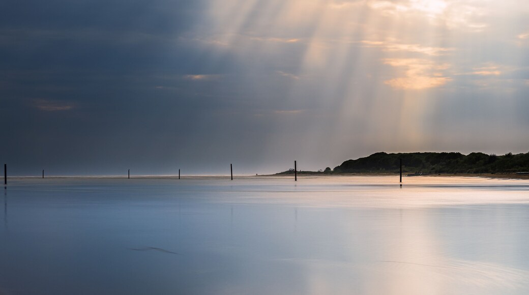 nature sceneries inside the Bibione Pineda lagoon during a summer day