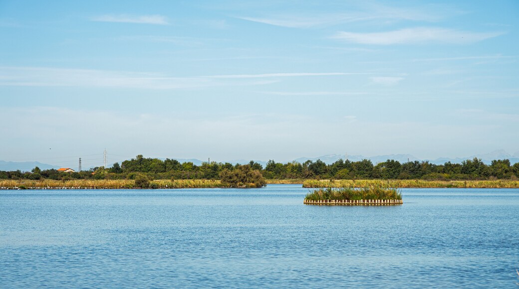 lagoon landscape inside the Val Grande Naturalistic oasi, Bibione Pineda, San Michele al Tagliamento, Venice, Italy