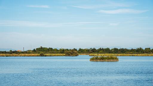lagoon landscape inside the Val Grande Naturalistic oasi, Bibione Pineda, San Michele al Tagliamento, Venice, Italy