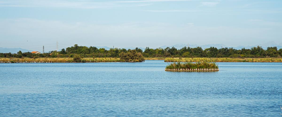 A calm lake with a small island in the center, surrounded by dense greenery and distant mountains.