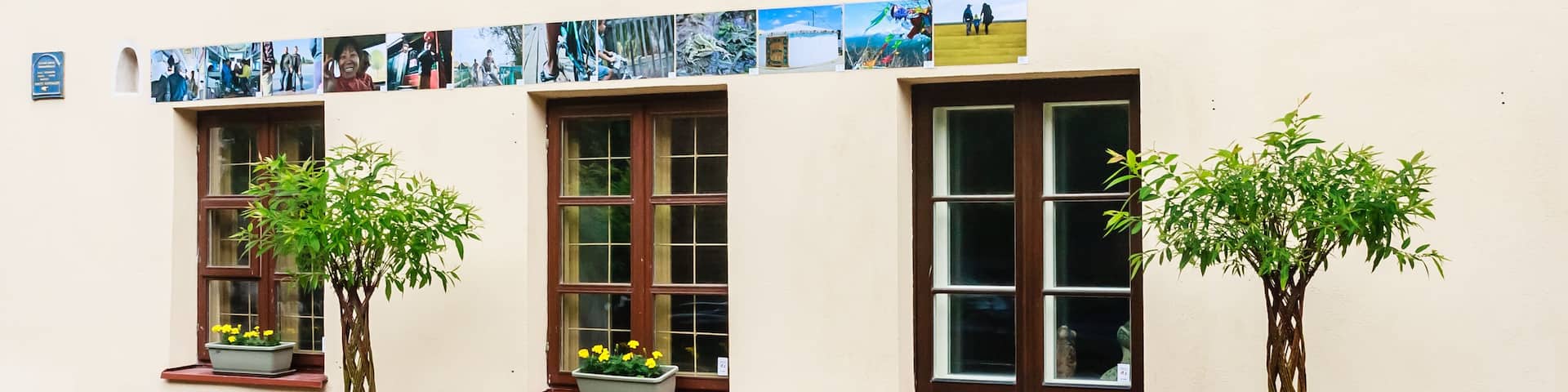 A building with three windows, each with a potted plant on the sill.