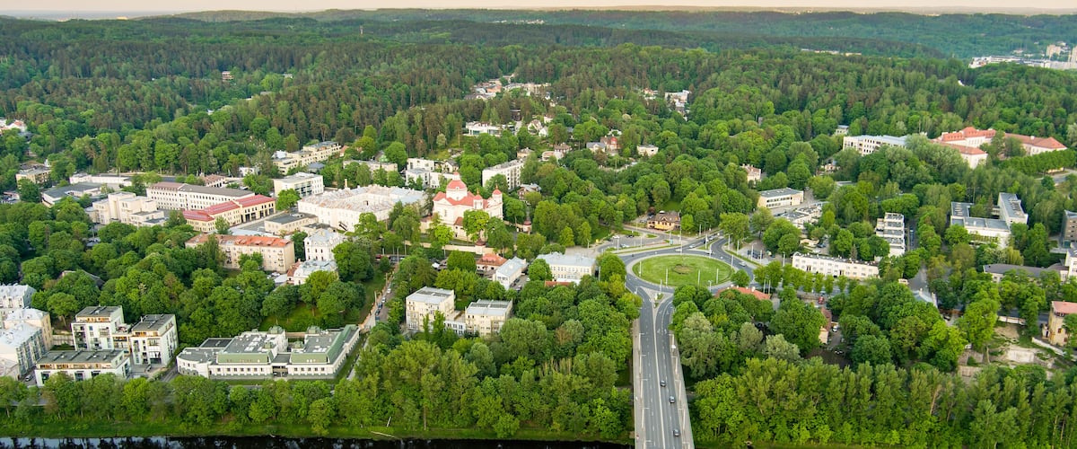 A river with a bridge, surrounded by dense forests and a mix of residential and commercial buildings.
