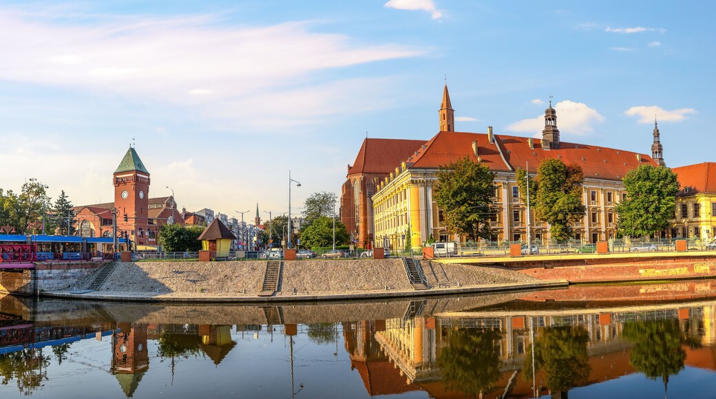 Sunrise on Odra river