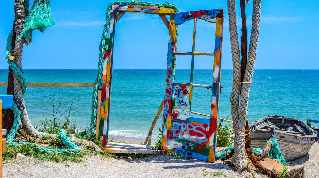Een kleurrijke, met graffiti beschilderde metalen constructie met touwen, voor een achtergrond van strand en oceaan.