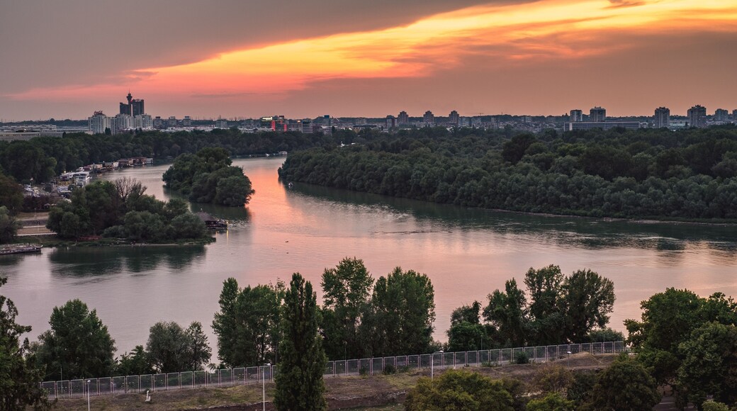 โนวี เบโอกราด