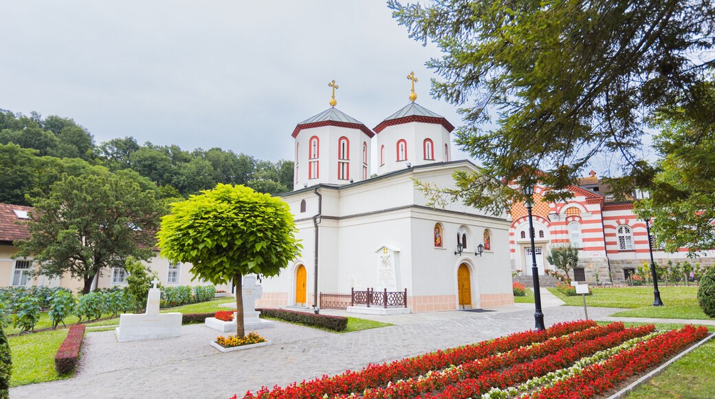 Rakovica