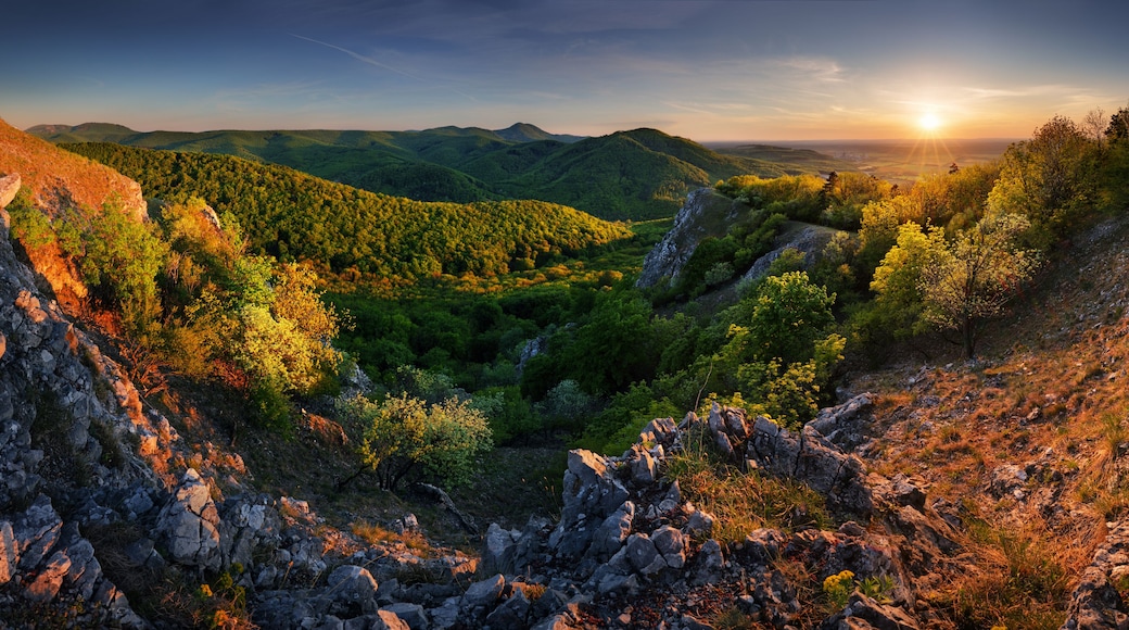 Panoramic view from Vapenna in Little Carpathians. Sunrise, dusk, Slovakia. Mountain, hill, forest.